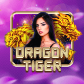 Dragon Tiger live table on Hawk Live